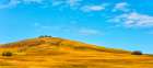 Rolling Hills Art Print