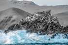 Palomino Island Art Print