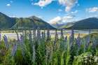 South Island New Zealand Art Print