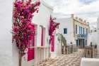 Mykonos Street with Flowers Art Print
