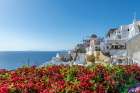 Santorini with Flowers Art Print
