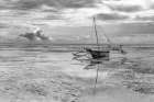Zanzibar Boat Art Print