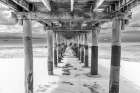 Wooden Beach Walk Art Print