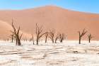 Namibian Dead Trees 2 Art Print