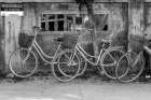Vietnamese Bikes Art Print