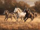 Running Free Art Print
