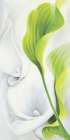 Calla II Art Print