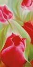 Tulpen II Art Print