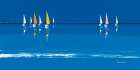 Voiles multicolores Art Print