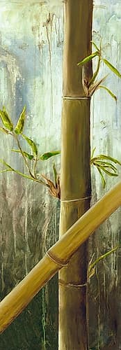 Rainforest I Art Print