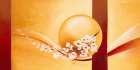 Le temps suspendu Still Life Print