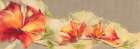 Flowers II Art Print