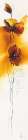 Fleurs d automne III Art Print