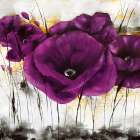 Pavot violet III Art Print