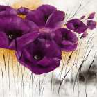 Pavot violet IV Art Print