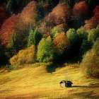 Nature Art Color II Art Print