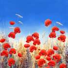 Dancing Poppies Art Print