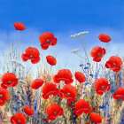 Poppy Meadow II Art Print