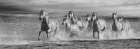 Horses Running at the Beach Art Print