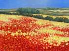Harvest Poppies Art Print