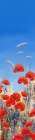Summer Poppies II Art Print