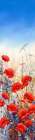 Poppy Field II Art Print