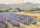 Champ de lavande Art Print
