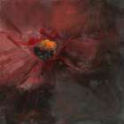 Deuil eclatant Art Print