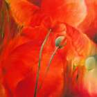 Roter Mohn Art Print