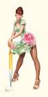 Camelia Art Print