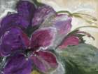 Clematis Art Print