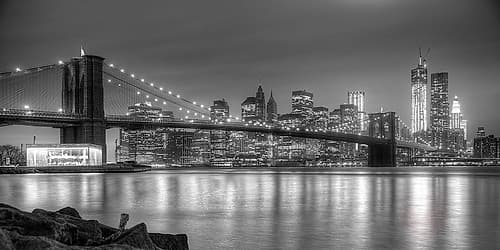 Fraternal Twins Cityscapes Print