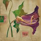 Blutenanatomie: Amaryllis Art Print