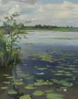 Water Lilies Earnewald II Art Print