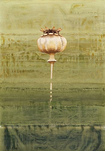 Papaverbol Art Print by Clema