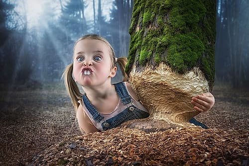 Just a little Beaver Art Print by John Wilhelm is a Photoholic