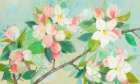 Apple Blossom Art Print