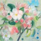 Apple Blossom 1 Art Print