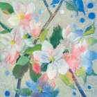 Apple Blossom 2 Art Print