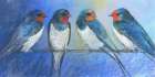 Swallows Art Print