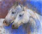 Two Horses Art Print