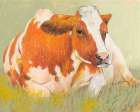 Cow in the Spring Art Print