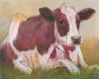 Cow in the Summer Art Print