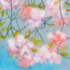 Japanese Cherry Blossom Art Print