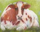 Cow Art Print