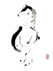 La mysterieuse elegante Art Print