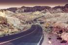 Snake Road Art Print