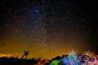 Stars over Joshua Art Print