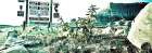 Fort Zion Panorama Art Print