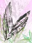 Leaf Study rose I Art Print